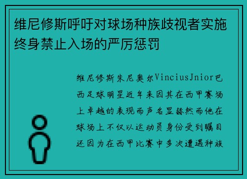 维尼修斯呼吁对球场种族歧视者实施终身禁止入场的严厉惩罚