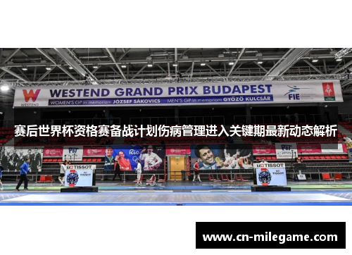 赛后世界杯资格赛备战计划伤病管理进入关键期最新动态解析